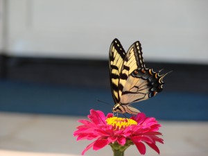 file000584921964
