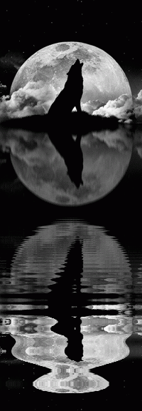 f5348823b91808ffa68b46422afd32e9